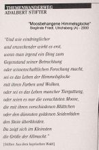 2013-09-02_10-00_Dreisesselberg (025)b.JPG